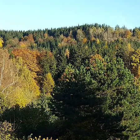 Moderne Komfortwohnung Im Kurort Am Rennsteig Apartment Finsterbergen