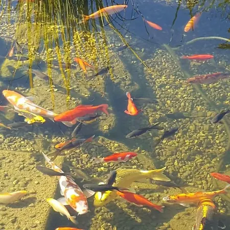 شقة Moderne Komfortwohnung Im Kurort Am Rennsteig *