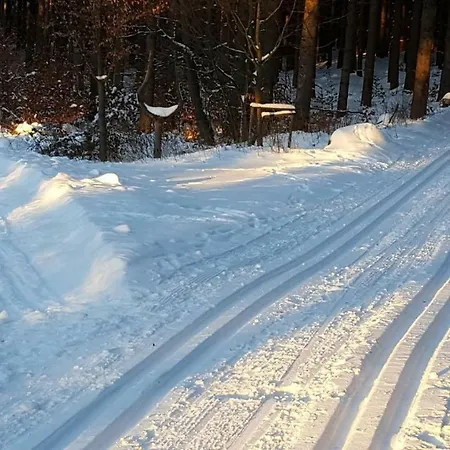 Moderne Komfortwohnung Im Kurort Am Rennsteig * Finsterbergen
