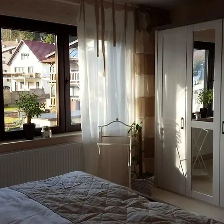 Lejlighed Moderne Komfortwohnung Im Kurort Am Rennsteig *