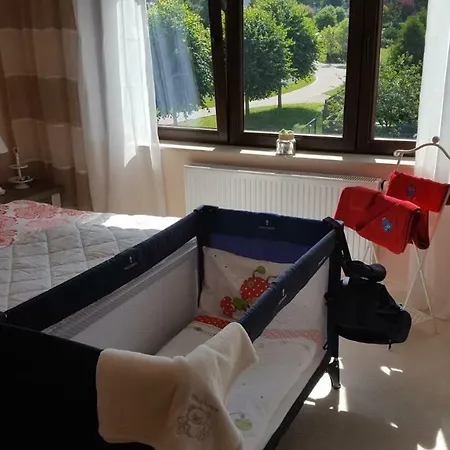 Apartment Moderne Komfortwohnung Im Kurort Am Rennsteig