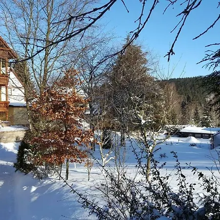 Moderne Komfortwohnung Im Kurort Am Rennsteig Apartment Finsterbergen