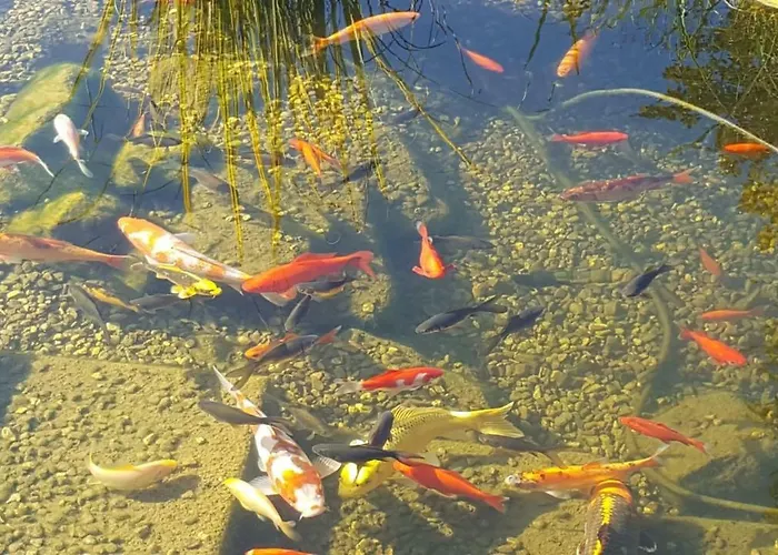 Daire Moderne Komfortwohnung Im Kurort Am Rennsteig *