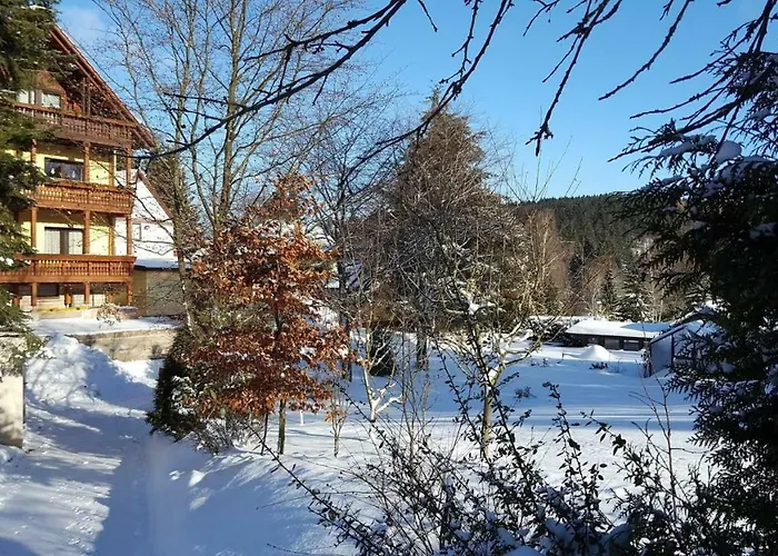 Moderne Komfortwohnung Im Kurort Am Rennsteig Daire Finsterbergen